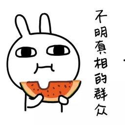 娱乐吃瓜酱是怎么赚钱的,揭秘网红如何通过吃瓜赚钱的秘密